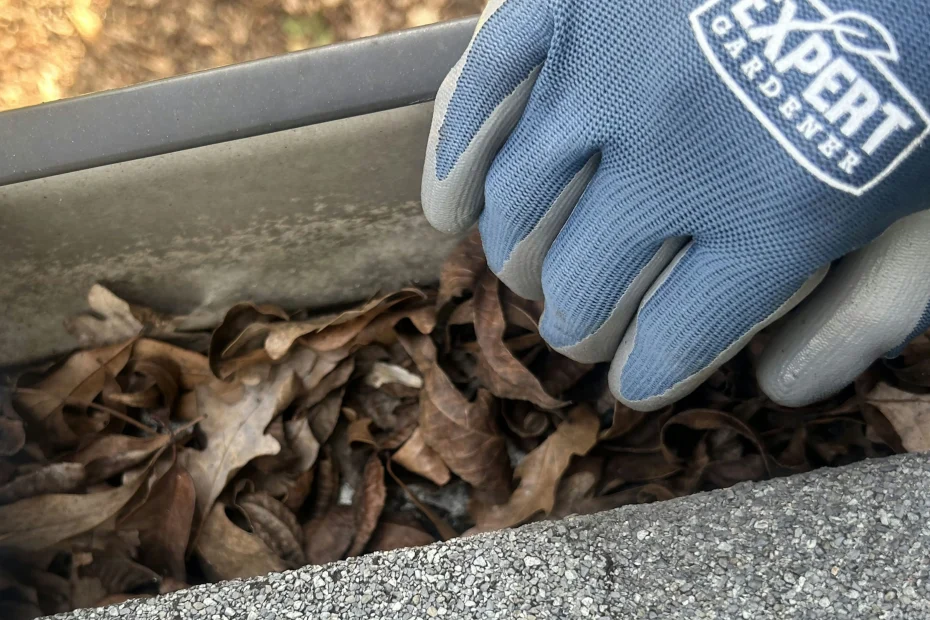 Gutter Cleaning Coppell TX