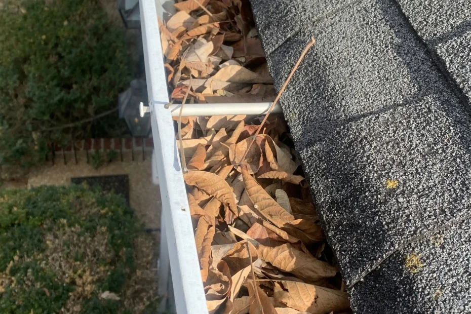 Gutter Cleaning Coppell TX